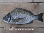 釣果