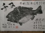 釣果