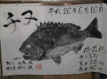 釣果