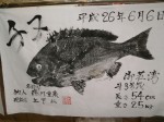 釣果