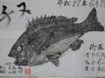 釣果