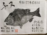 釣果