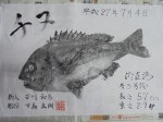 釣果