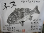 釣果