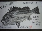 釣果