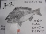 釣果