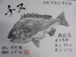 釣果