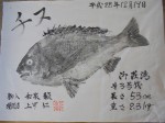 釣果