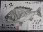 釣果