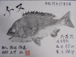 釣果