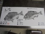 釣果