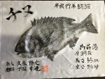 釣果