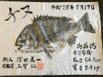 釣果