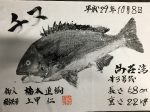 釣果