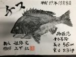 釣果