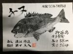 釣果