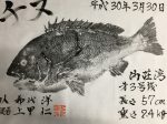 釣果