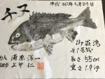 釣果