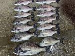 釣果