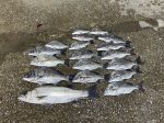釣果